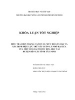 ĐIỀU TRA HIỆN TRẠNG CANH TÁC, MỨC ĐỘ GÂY HẠI VÀ XÁC ĐỊNH HIỆU LỰC TRỪ SÂU CUỐN LÁ NHỎ HẠI LÚA CỦA MỘT SỐ LOẠI THUỐC HÓA HỌC TẠI HUYỆN BẾN CẦU TỈNH TÂY NINH