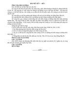 BÀI VIẾT số 7 10a1 a2