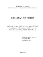 KHẢO SÁT SỰ SINH TRƯỞNG  PHÁT TRIỂN VÀ NĂNG SUẤT CỦA SÁU GIỐNG BẮP LAI TRIỂN VỌNG VỤ XUÂN HÈ NĂM 2012 TẠI PLEIKU  TỈNH GIA LAI