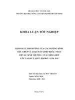KHẢO SÁT ẢNH HƯỞNG CỦA CÁC ĐƯỜNG KÍNH GỐC GHÉP VÀ LOẠI MẮT GHÉP KHÁC NHAU ĐẾN SỰ SINH TRƯỞNG CỦA CHỒI GHÉP CÂY CAO SU TẠI TP. PLEIKU – GIA LAI Sinh viên thực hiện: LÊ DUY TRUYỀN Ngành: NÔNG HỌC Niên khóa: 2008  2012 Tháng 07