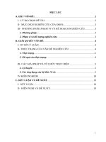 SKKN Ứng dụng hệ thức Viét để giải các bài toán về phương trình bậc hai”.