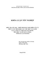 ĐIỀU TRA SÂU HẠI  THIÊN ĐỊCH BẮT MỒI TRÊN CÂY CÀ PHÊ VÀ XÁC ĐỊNH HIỆU LỰC TRỪ RỆP VẢY XANH Coccus viridis CỦA MỘT SỐ LOẠI THUỐC HÓA HỌC TẠI HUYỆN IA GRAI, TỈNH GIA LAI NĂM 2012