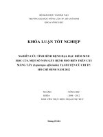 NGHIÊN CỨU TÌNH HÌNH BỆNH HẠI, ĐẶC ĐIỂM SINH HỌC CỦA MỘT SỐ NẤM GÂY BỆNH PHỔ BIẾN TRÊN CÂY MĂNG TÂY (Asparagus officinalis) TẠI HUYỆN CỦ CHI TP. HỒ CHÍ MINH NĂM 2012
