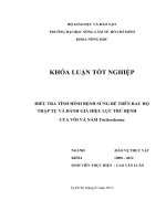 ĐIỀU TRA TÌNH HÌNH BỆNH SƯNG RỄ TRÊN RAU HỌ THẬP TỰ VÀ ĐÁNH GIÁ HIỆU LỰC TRỪ BỆNH CỦA VÔI VÀ NẤM Trichorderma