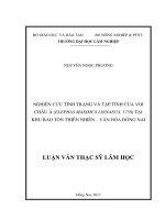 Nghiên cứu tình trạng và tập tính của voi châu á (elephas maximus linnaeus, 1758) tại khu bảo tồn thiên nhiên   văn hóa đồng nai 