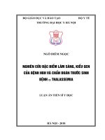 Nghiên cứu đặc điểm lâm sàng, kiểu gen của bệnh hbh và chẩn đoán trước sinh bệnh α thalassemia 
