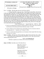 Đề thi thử vào lớp 10 năm học 2018 – 2019 môn ngữ văn (có đáp án) 