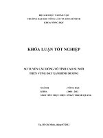 SƠ TUYỂN CÁC DÒNG VÔ TÍNH CAO SU MỚI TRÊN VÙNG ĐẤT XÁM BÌNH DƯƠNG