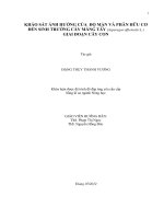 KHẢO SÁT ẢNH HƯỞNG CỦA ĐỘ MẶN VÀ PHÂN HỮU CƠ ĐẾN SINH TRƯỞNG CÂY MĂNG TÂY (Asparagus officinalis L.) GIAI ĐOẠN CÂY CON