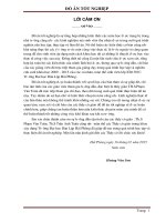 Thiết kế cầu vượt qua sông hồng   hà nội ( Đồ án tốt nghiệp XD)