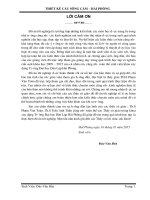 Thiết kế cầu vượt qua sông cấm   hải phòng (Đồ án tốt nghiệp XD)