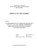 XÁC ĐỊNH THÔNG SỐ XỬ LÝ NHIỆT TRỪ RUỒI ĐỤC QUẢ Bactrocera correcta Bezzi (DIPTERA: TEPHRITIDAE) TRONG QUẢ XOÀI CÁT CHU BẰNG KỸ THUẬT XỬ LÝ HƠI NƯỚC NÓNG