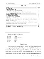 Tìm hiểu cơ sở pháp lý cho hoạt động xử lý TSBĐ tại TCTD những vướng mắc trong quá trình xử lý TSBĐ từ năm 2012 trở lại đây và đề xuất ý kiến pháp lý 