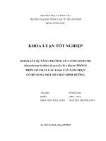 KHẢO SÁT SỰ TĂNG TRƯỞNG CỦA NẤM LINH CHI (Ganoderma lucidum (Leyss.Ex Fr.) Karst) TRỒNG TRÊN CƠ CHẤT CÁC LOẠI CÂY XÂM THỰC CÓ BỔ SUNG MỘT SỐ CHẤT DINH DƯỠNG