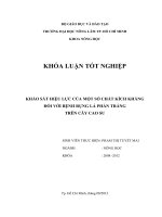 KHẢO SÁT HIỆU LỰC CỦA MỘT SỐ CHẤT KÍCH KHÁNG ĐỐI VỚI BỆNH RỤNG LÁ PHẤN TRẮNG TRÊN CÂY CAO SU