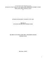 KẾ HOẠCH HÀNH ĐỘNG TÁI ĐỊNH CƯ RÚT GỌN TIỂU DỰ ÁN XÂY DỰNG CỐNG HÓC HỎA TỈNH HẬU GIANG
