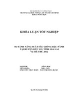 SO SÁNH NĂNG SUẤT SÁU GIỐNG ĐẬU NÀNH TẠI HUYỆN ĐỨC CƠ, TỈNH GIA LAI VỤ HÈ THU 2012