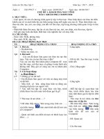 Giáo án hướng dẫn học tin học 5 cả năm