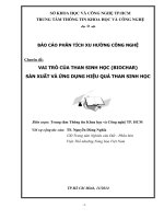 Chuyên đề: VAI TRÒ CỦA THAN SINH HỌC (BIOCHAR) SẢN XUẤT VÀ ỨNG DỤNG HIỆU QUẢ THAN SINH HỌC