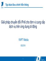 Giải pháp chuyển đổi IPv6 cho đơn vị cung cấp dịch vụ trên ứng dụng di động