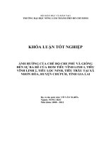 ẢNH HƯỞNG CỦA CHẾ ĐỘ CHE PHỦ VÀ GIỐNG ĐẾN SỰ RA RỄ CỦA HOM TIÊU VĨNH LINH 1, TIÊU VĨNH LINH 2, TIÊU LỘC NINH, TIÊU TRÂU TẠI XÃ NHƠN HÒA, HUYỆN CHƯPƯH, TỈNH GIA LAI