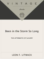 Leon f  litwack   been in the storm so long  the ery (v5 0) 