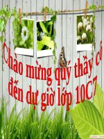 Giáo án điện tử: Tuần 19. Đại cáo bình Ngô (Bình Ngô đại cáo)