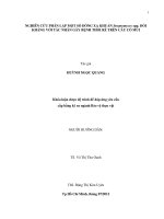 NGHIÊN CỨU PHÂN LẬP MỘT SỐ DÒNG XẠ KHUẨN Streptomyces spp. ĐỐI KHÁNG VỚI TÁC NHÂN GÂY BỆNH THỐI RỄ TRÊN CÂY CÓ MÚI