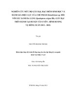 NGHIÊN CỨU MỨC ĐỘ GÂY HẠI, ĐẶC ĐIỂM SINH HỌC VÀ ĐÁNH GIÁ HIỆU LỰC CỦA CHẾ PHẨM Metarhizium sp. ĐỐI VỚI SÂU XANH DA LÁNG (Spodoptera exigua Hb.) GÂY HẠI TRÊN HÀNH TẠI HUYỆN TÂN UYÊN  BÌNH DƯƠNG VỤ ĐÔNG XUÂN 2011  2012.