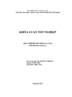 QUY TRÌNH LÊN MEN CA CAO (Theobroma cacao L.)