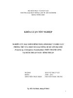 NGHIÊN CỨU ĐẶC ĐIỂM HÌNH THÁI, SINH HỌC VÀ HIỆU LỰC PHÒNG TRỪ CỦA MỘT SỐ LOẠI NÔNG DƯỢC LÊN BỌ XÒE Protaetia sp. (Coleoptera: Scarabaeidae) TRÊN THANH LONG TẠI HÀM THUẬN NAM  BÌNH THUẬN