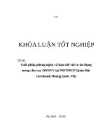 Giải pháp phòng ngừa và hạn chế rủi ro tín dụng trong cho vay DNNVV tại ngân hàng thương mại cổ phần quân đội chi nhánh hoàng quốc việt 