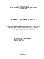 ẢNH HƯỞNG CỦA MỘT SỐ LOẠI PHÂN BÓN LÁ ĐẾN SINH TRƯỞNG, PHÁT TRIỂN CỦA LAN Dendrobium TRỒNG TẠI CỦ CHI  THÀNH PHỐ HỒ CHÍ MINH