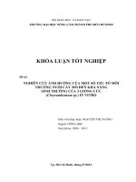 NGHIÊN CỨU ẢNH HƯỞNG CỦA MỘT SỐ YẾU TỐ MÔI TRƯỜNG NUÔI CẤY MÔ ĐẾN KHẢ NĂNG SINH TRƯỞNG CỦA 3 GIỐNG CÚC (Chrysanthemum sp.) IN VITRO