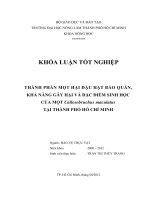 THÀNH PHẦN MỌT HẠI ĐẬU HẠT BẢO QUẢN, KHẢ NĂNG GÂY HẠI VÀ ĐẶC ĐIỂM SINH HỌC CỦA MỌT Callosobruchus maculatus TẠI THÀNH PHỐ HỒ CHÍ MINH