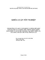 ẢNH HƯỞNG CỦA QUY CÁCH HOM VÀ GIỐNG ĐẾN KHẢ NĂNG RA RỄ CỦA 4 GIỐNG TIÊU TRONG NHÂN GIỐNG BẰNG HOM, VỤ XUÂN HÈ NĂM 2012, TẠI THÔN THIÊN AN, XÃ IA BLỨ, HUYỆN CHƯ PƯH, TỈNH GIA LAI