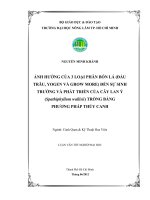 ẢNH HƯỞNG CỦA 3 LOẠI PHÂN BÓN LÁ (ĐẦU TRÂU, YOGEN VÀ GROW MORE) ĐẾN SỰ SINH TRƯỞNG VÀ PHÁT TRIỂN CỦA CÂY LAN Ý (Spathiphyllum wallisii) TRỒNG BẰNG PHƯƠNG PHÁP THỦY CANH