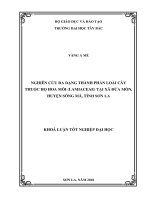 Nghiên cứu đa dạng thành phần loài cây thuộc họ hoa môi (lamiaceae) tại xã đứa mòn, huyện sông mã, tỉnh sơn la