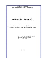 NGHIÊN CỨU VAI TRÒ HỆ SINH THÁI RỪNG NGẬP MẶN CẦN GIỜ TRONG VIỆC BẢO VỆ MÔI TRƯỜNG NƯỚC