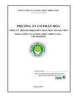 PHƯƠNG ÁN CỔ PHẦN HÓA CÔNG TY TRÁCH NHIỆM HỮU HẠN MỘT THÀNH VIÊN TỔNG CÔNG TY LƯƠNG THỰC MIỀN NAM – VINAFOOD II