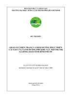 KHẢO SÁT HIỆN TRẠNG VÀ ĐỊNH HƯỚNG PHÁT TRIỂN CẢI TẠO CÂY XANH ĐƯỜNG PHỐ KHU VỰC NỘI THỊ THỊ XÃ ĐỒNG XOÀI TỈNH BÌNH PHƯỚC