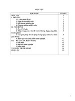 SKKN “  Thực hành ngoại khóa An toàn giao thông môn GDCD ở trường THCS Nga An