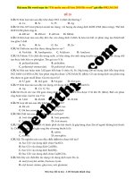 NAP đề số 29   file word có lời giải chi tiết 