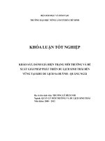 KHẢO SÁT, ĐÁNH GIÁ HIỆN TRẠNG MÔI TRƯỜNG VÀ ĐỀ XUẤT GIẢI PHÁP PHÁT TRIỂN DU LỊCH SINH THÁI BỀN VỮNG TẠI KHU DU LỊCH SA HUỲNH  QUẢNG NGÃI