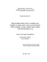 Nghiên cứu giải pháp nâng cao hiệu quả khai thác vốn tại ngân hàng nông nghiệp và PTNT chi nhánh móng cái 