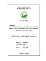 Thực hiên quy trình chăm sóc nuôi dưỡng và phòng trị Bệnh viêm tử cung trên đàn lợn nái nuôi tại trại Hoàng Minh Châu, Hạ Long – Quảng Ninh