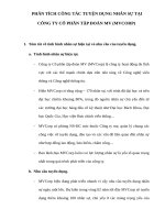 Phân tích công tác tuyện dụng nhân sự tại công ty cổ phần tập đoàn MV (MVCorp) 