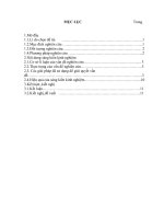 SKKN Sinh hoc9: Sử dụng phương pháp sơ đồ hóa trong dạy học sinh học 9