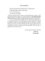 Cải thiện hoạt động digital marketing của công ty cổ phần thương mại và dịch vụ trời xanh