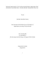 ĐÁNH GIÁ HIỆN TRẠNG VÀ XÂY DỰNG GIẢI PHÁP PHÁT TRIỂN BỀN VỮNG CHO KHU DU LỊCH SINH THÁI  VĂN HÓA HỒ MÂY THÀNH PHỐ VŨNG TÀU